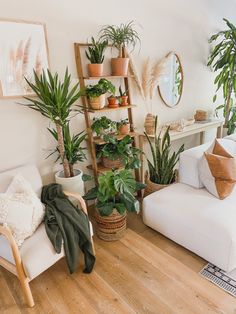 a living room filled with lots of potted plants