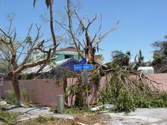 a tree that has fallen on top of a street sign in front of a house