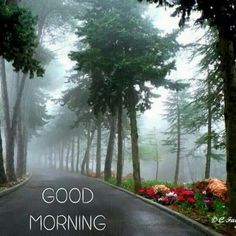 a road with trees and flowers on the side that says, good morning in front of it