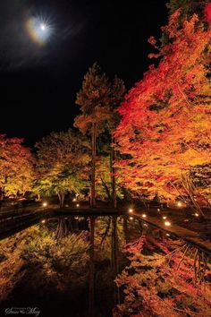 the full moon shines brightly in the night sky over a pond surrounded by colorful trees