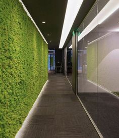 a long hallway with grass growing on the wall and flooring in front of it