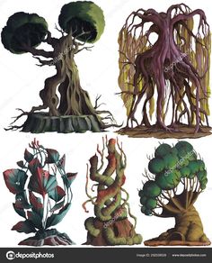 four different types of trees with roots