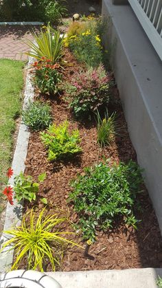 a garden area with flowers and plants in the ground next to a building on a sunny day