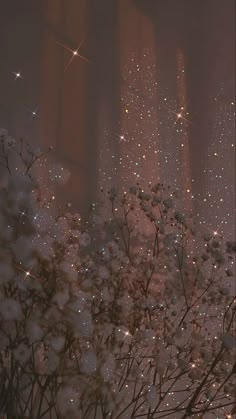 white flowers in front of tall buildings with stars on the sky and lights behind them