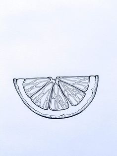 a drawing of a slice of grapefruit