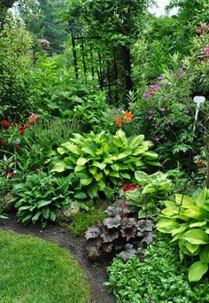 a garden filled with lots of different types of plants and flowers next to a lush green forest