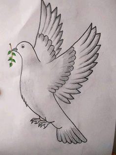 a drawing of a bird with an olive branch in it's beak and wings