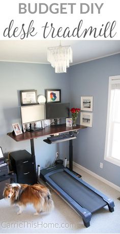 a dog standing in front of a desk with a treadmill on it and the words, budget diy desk treadmill