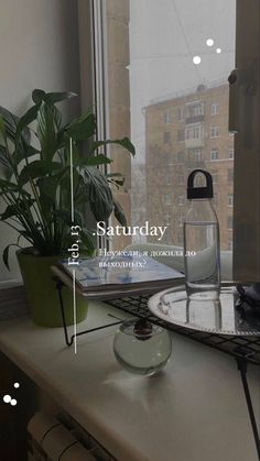 a window sill with plants on it and the words saturday written in large letters