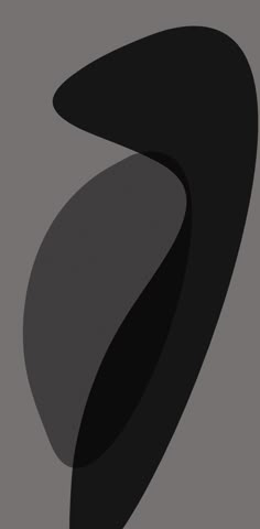 an abstract black and grey background with curved curves in the center, on a gray backdrop