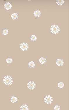 white daisies on a beige background with small dots in the center and bottom corner