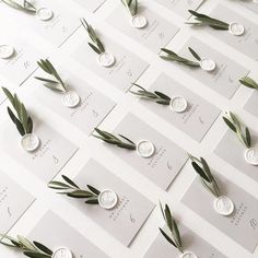 some green leaves are laying on top of white cards with numbers and coins around them