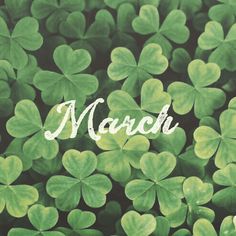 green clovers with the word march written on them