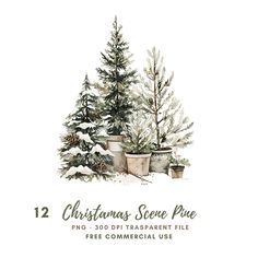 christmas tree with potted plants and pine cones on the bottom text reads, 12 christmas trees see price png - 300 dit transparent file free commercial use