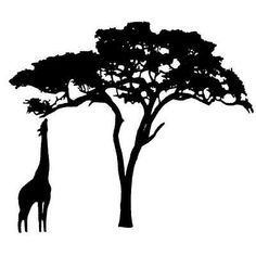 a giraffe standing next to a tall tree on a white background in silhouette