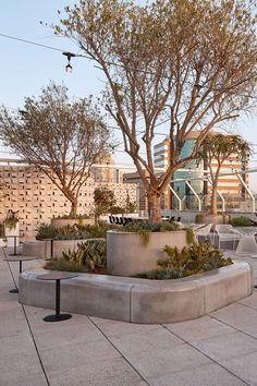 an outdoor seating area with benches and trees in front of a cityscape background