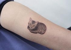 a small cat tattoo on the arm