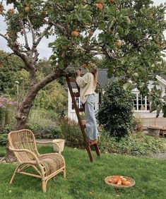 a man standing on a ladder reaching up to an apple tree