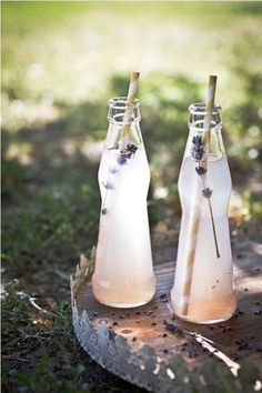 two bottles filled with liquid sitting on top of a tree stump