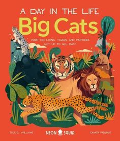 Meet sparring snow leopards, sprinting cheetahs, and slumbering jaguars in this book about the biggest cats on Earth.Follow pumas and cheetahs as they roar, hunt, fight, and play their way through the day. Wildlife expert Tyus D. Williams cleverly weaves the story in the style of a nature documentary, including gentle science explanations perfect for future zoologists. Coloured Illustrations Books Of 2022, Best Picture Books, Cheetah Cubs, Pretty Books, Portfolio Inspiration, Animal Facts, Unit Study, Animal Books