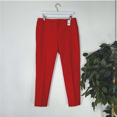 52% Cotton 45% Polyester 3% Elastane Size 10 Red A Brand New Pair Of Gorgeous Bright Red Loft Pants With All Fake Pockets. Skinny Style Slacks With A Cuffed Bottom. 3 Buttons And A Zipper Closure. Tailored Classic Red Bottoms, Classic Tailored Red Bottoms, Red Stretch Pants For Office, Classic Red Bottoms For Business Casual, Red Fitted Dress Pants For Business Casual, Fitted Red Dress Pants For Business Casual, Red Straight Dress Pants For Office, Red Straight Dress Pants For Work, Red Straight Dress Pants For The Office