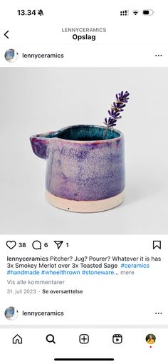 a purple pot with a plant in it is on the instagram page for an article