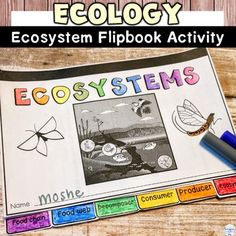 an ecosytem flipbook activity for kids to learn how to use the environment