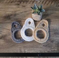 three crocheted rings sitting on top of a wooden table next to a potted plant