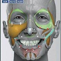 an image of a man's face with different facial markings and arrows on it