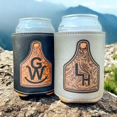 two can coolers sitting on top of a rock with mountains in the back ground