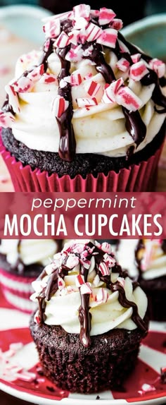 chocolate cupcakes with white frosting and peppermint toppings on top