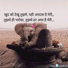 an elephant sitting on top of a pile of rocks with the caption in english