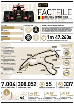 an info sheet showing the different types of race cars in each country and their numbers