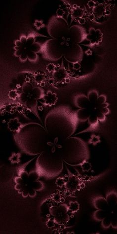 an abstract background with flowers in red and black