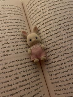 a small stuffed animal sitting on top of an open book