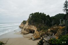 a sandy beach next to the ocean on a cloudy day with trees in the foreground