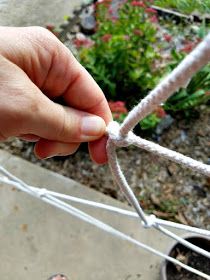 a hand holding a piece of white rope near a potted plant