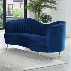 a blue couch sitting on top of a rug in front of a window with a potted plant