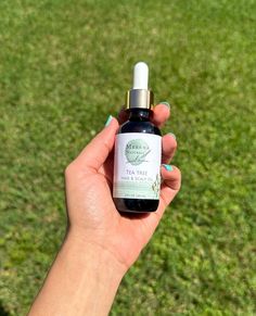 Discover the power of nature with our Tea Tree Hair Oil! 🌿 Why use tea tree oil in your hair care routine? ✅ Fights dandruff naturally ✅ Promotes healthy hair growth ✅ Soothes scalp irritation Our handmade, all-natural formula is perfect for nourishing your hair and scalp. Give your hair the care it deserves. Without:  Sulfates. Parabens . Propylene Glycol. Formaldehyde. Diethanolamine (DEA) Triethanolamine (TEA). Mineral Oil. Fragrances. Silicones. Cruelty-Free. Mustard Seed Oil, Onion Hair Growth, Jojoba Oil Hair, Oil Fragrances, Organic Hair Oil, Tea Tree Soap, Onion For Hair, Scalp Oil, Natural Teas