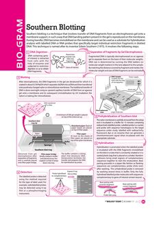 a brochure with instructions on how to use the machine for cutting paper and other things