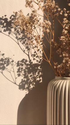 the shadow of a plant in a vase on a wall next to a radiator