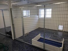 the inside of a caged in area with blue flooring