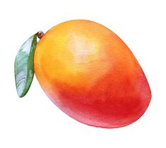 a watercolor painting of an orange with a green leaf on it's tip