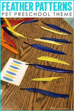 feathers are arranged on a table with the words, feather patterns pet preschool theme written in blue