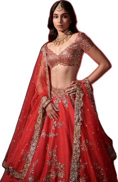 Designer Red Tissue Silk Lehenga, Red Tissue Silk Lehenga With Sheer Dupatta, Red Lehenga With Sheer Dupatta In Tissue Silk, Red Tissue Silk Lehenga With Dori Work, Red Silk Lehenga With Sheer Dupatta, Bollywood Style Red Tissue Silk Lehenga, Red Anarkali Lehenga In Tissue Silk, Fitted Red Tissue Silk Lehenga, Kamdani Work