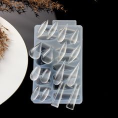 an ice tray with several pieces of food on it next to a white plate and dried plant