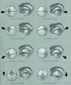 the steps to drawing an eye