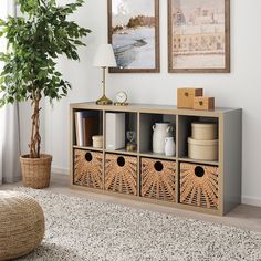 a living room with a plant and some pictures on the wall above it, along with an area rug