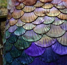 the back side of a colorful bird's tail with lots of feathers on it