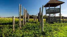 a wooden structure sitting on top of a lush green field